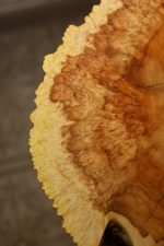 Журнальный столик из карагача — изображение 2